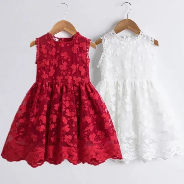 Little Girls Dress New Lace Embroidery Flower Dress Princess Birthday Party Vestidos Holiday Casual Wear 3-8Yrs Children Clothes 1