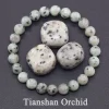 33 Tianshan Orchid