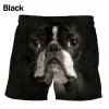 Shorts-GNN4555