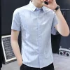 A8 Blue Shirt