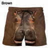 Shorts-GNN4561