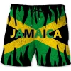 Shorts-ZXA41424