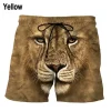 Shorts-GNN4553