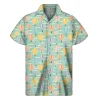 Shirts-ZXA38402