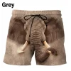 Shorts-GNN4556