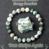 36 Tree Stripe Agate