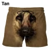 Shorts-GNN4559
