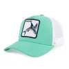 Flying Fish