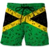 Shorts-ZXA41423