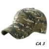 CA 3