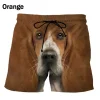 Shorts-GNN4558
