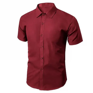 Summer thin professional formal men's business casual non-ironing breathable short-sleeved shirt easy to take care of commuting 2