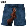 Shorts-GNN4560