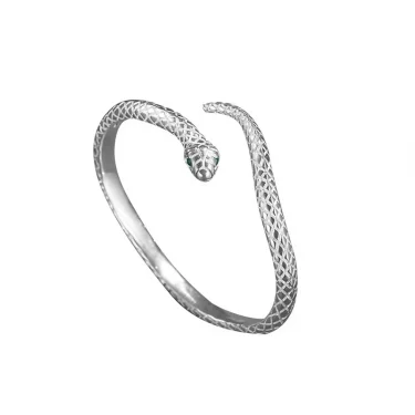 925 Sterling Silver Snake Shape Bracelet Charm Temperament Bracelet Birthday Party Gift Beautiful Jewelry for Woman Free Shippin 6