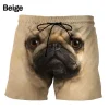 Shorts-GNN4557