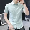 A8 Green Shirt