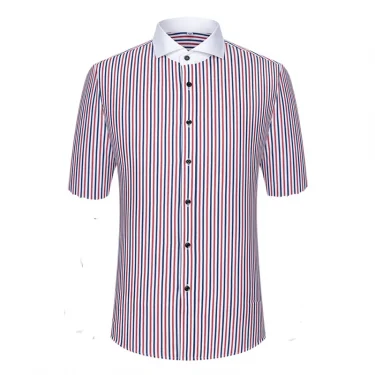 Spring and summer men's striped short-sleeved shirt Windsor collar fashionable slim exotic collar exquisite half-sleeved white c 2