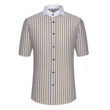 Spring and summer men's striped short-sleeved shirt Windsor collar fashionable slim exotic collar exquisite half-sleeved white c 3
