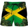 Shorts-ZXA41421