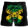Shorts-ZXA41428
