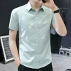 A4 Green Shirt