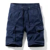 Blue02