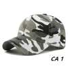 CA 1