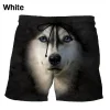Shorts-GNN4551