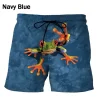 Shorts-GNN4552