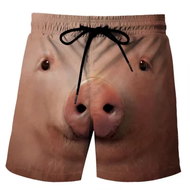 Funny Duck Graphic Beach Shorts for Men 3D Print Animal Board Shorts Sports Gym Swim Trunks Swimsuit homme Cool Ice Shorts Pants 2