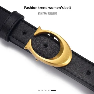 2025 New Thin 2.5CM Luxury Brand Famous Women Belt Designer Fashion Leather Women Belt Ladies Girl Belt for women dress Apparel 1