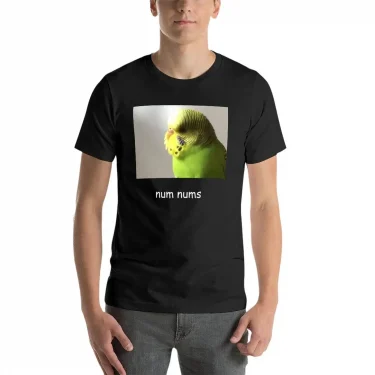 bird T-Shirt sweat shirts Oversized t-shirt t shirt man men clothing 2