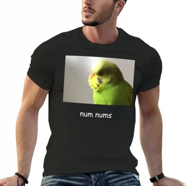 bird T-Shirt sweat shirts Oversized t-shirt t shirt man men clothing 1