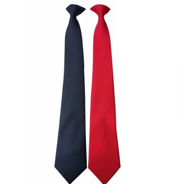 Men Women Simple Clip on Tie Uniform Plain Solid Color Pre-Tied Party Necktie 6