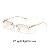 C6 Gold light brown