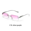 C10 silver purple